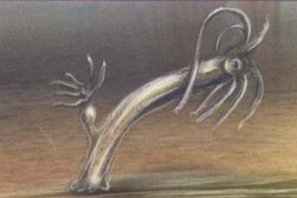 Kraken 4 ссылка