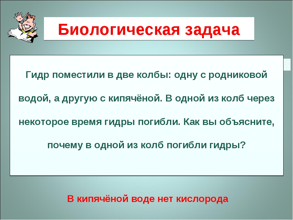 Кракен даркнет зайти
