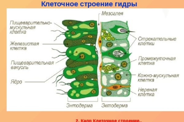 Что за приложение кракен