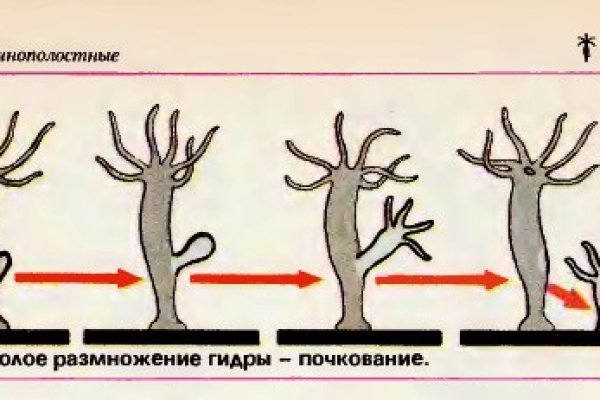 Кракен сайт войти