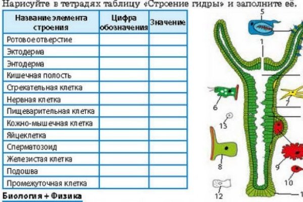 Кракен даркнет маркет ссылка тор