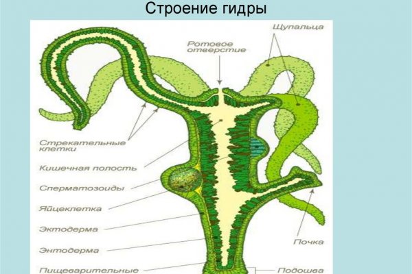 Кракен рабочее на сегодня сайт