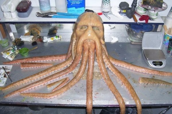 Рабочий сайт kraken