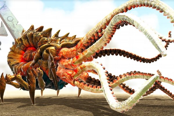 Kraken 6 at